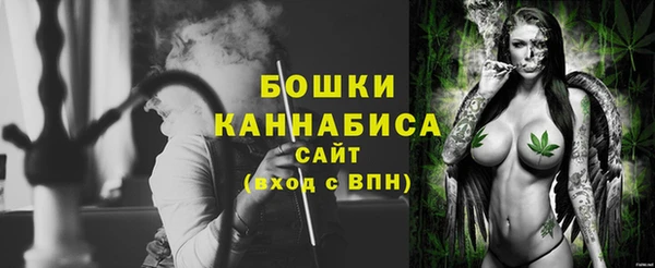 твердый Сатка