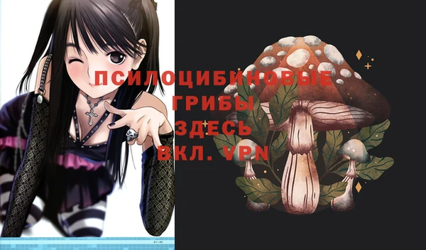 Альфа ПВП Армянск